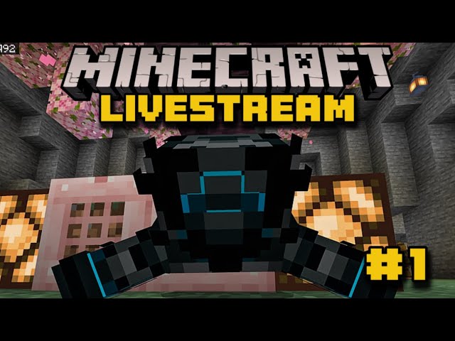 The Niki SMP? | Minecraft Livestream