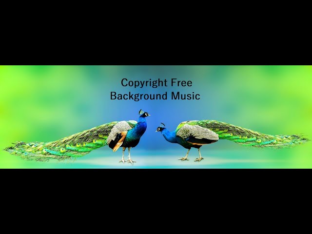 Copyright free Background Music Sash Music