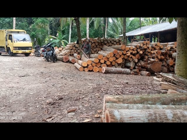 penggergajian kayu yang masih bertahan sampai sekarang ini