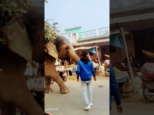 Aap sab Logon Ko Ganpati Bappa ki kasam aap sab Logon Ko video Pasand Aaye To ek like subscribe