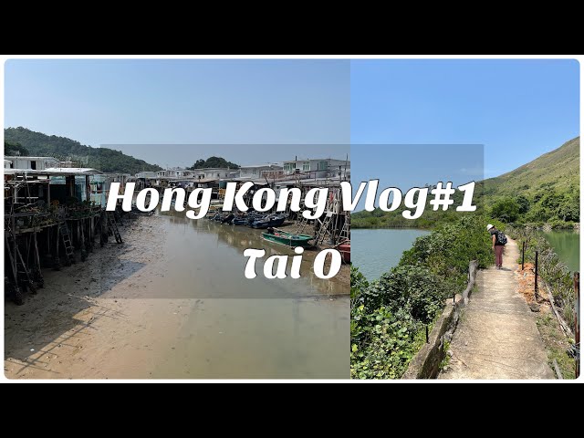 【香港Vlog】到大澳漁村玩一天，誤打誤撞走進秘景，比著名的棚屋更美