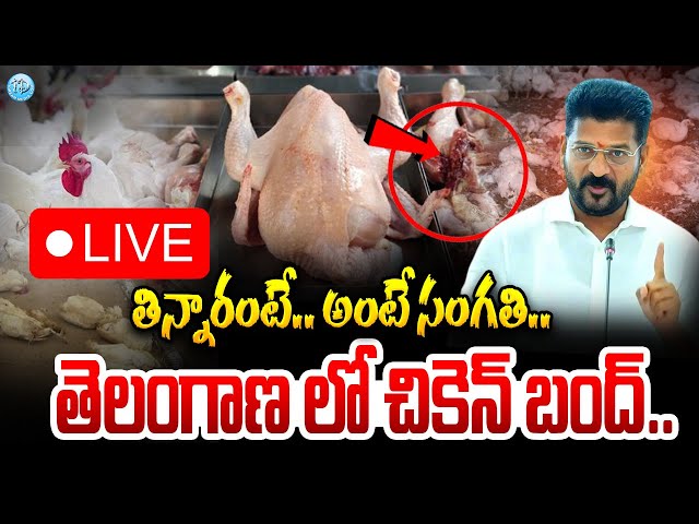 LIVE 🔴: పొరపాటున చికెన్ తింటే..  | Bird Flu Virus LIVE Updates | Bird Flu | Chicken | iDream