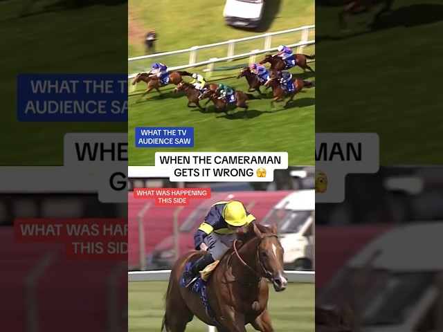 The race you never got to see! #horse #horseracing #sandown #horsesports