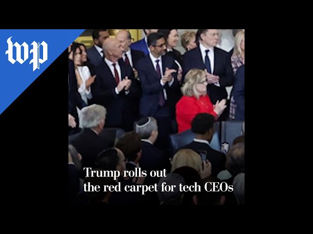 Trump rolls out the red carpet for tech CEOs