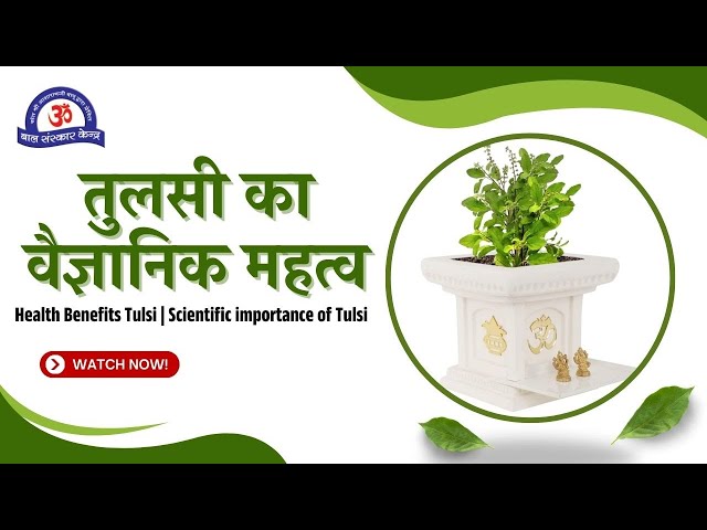 तुलसी का वैज्ञानिक महत्व | Scientific importance of Tulsi | Health Benefits Tulsi | Basil Benefits