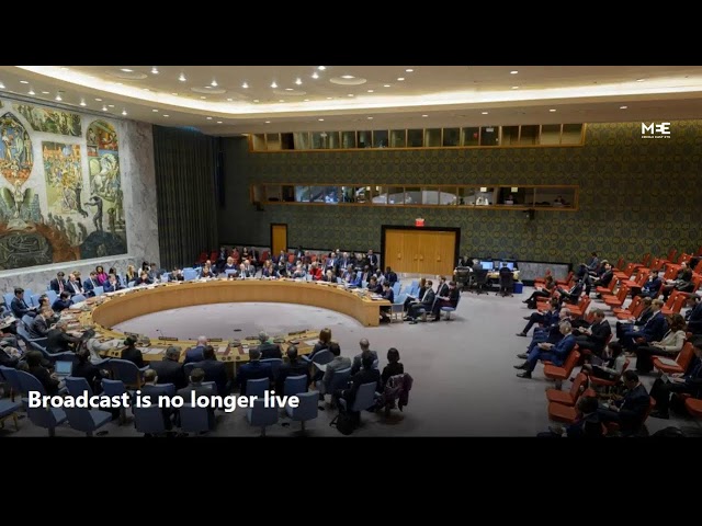 LIVE: UN Security Council discuss the Palestine