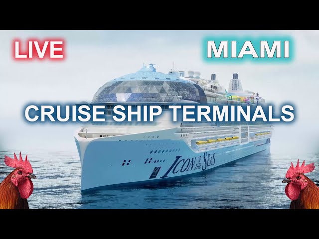 🔴 LIVE Port Miami Cruise Ship Terminals