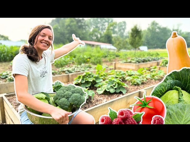 1/8 Acre Abundance: FULL TOUR + BEST TIPS for Growing