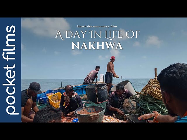 A day in life of nakhwa | Unveiling the Heartbeat of a Village: Stories of Culture and Resilience.