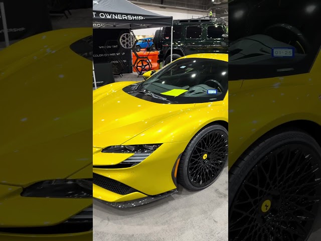 (Lamborghinis and Ferraris!) Houston Auto Show, Part 3 1/28/25