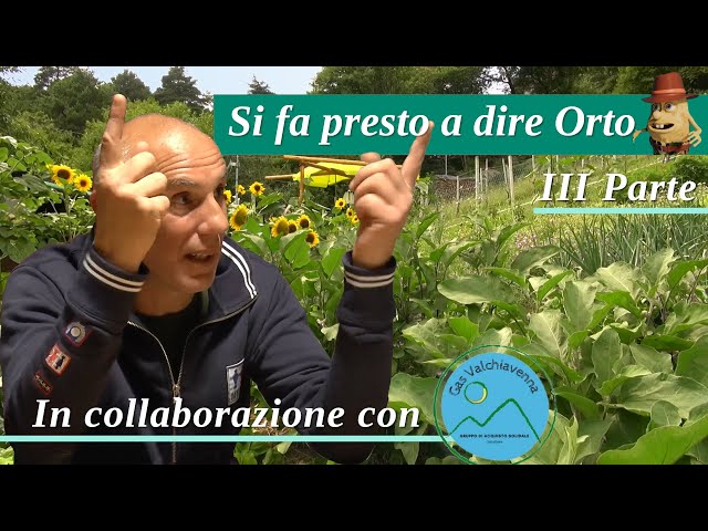 Si fa presto a dire Orto – III parte