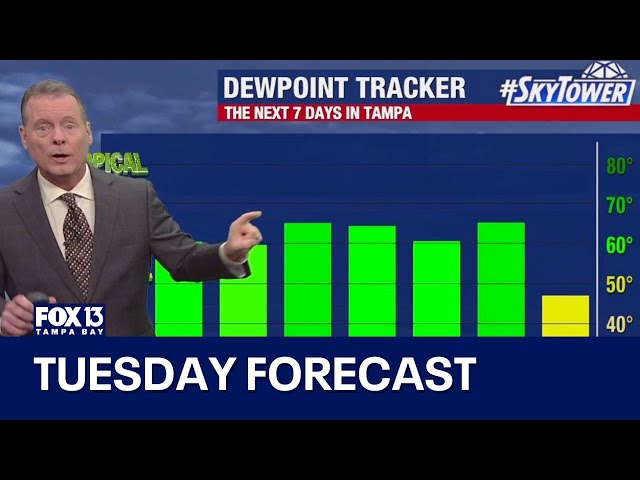 Tampa weather | Tuesday forecast