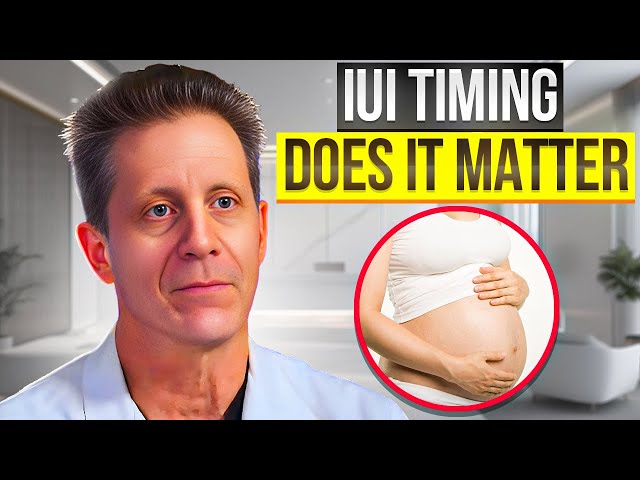 Highest IUI Success Rates - How important is the timing?