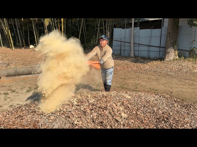 米ぬかと落ち葉で野菜が大きく育つ堆肥を作る【地域循環型農業】25/1/25