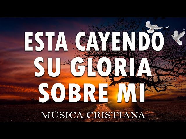 ALGO ESTA CAYENDO AQUÍ🕊️ ALABANZAS PARA ADORAR A DIOS🎻 MÚSICA CRISTIANA MIX 2024#alabanzas