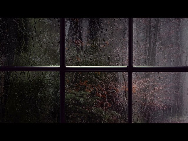 Ambient Rain | Watching Relaxing and Atmospheric Rain Outside