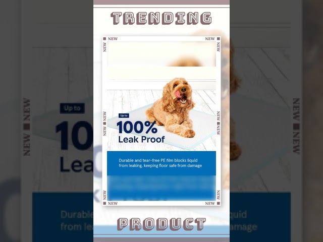 Pet Training Pads for Dogs - 100 Count, 22" x 22" Leak-Proof Puppy Potty Pads with Quick-Dry Surface