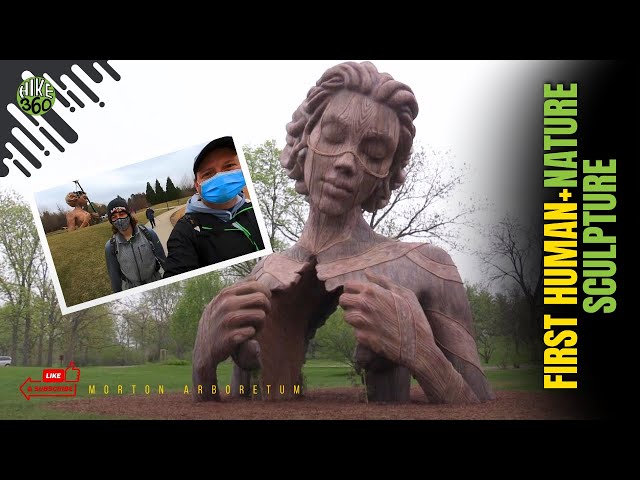 Morton Arboretum - Hike Intro with the first Human+Nature sculpture (Hike 360° VR Video)