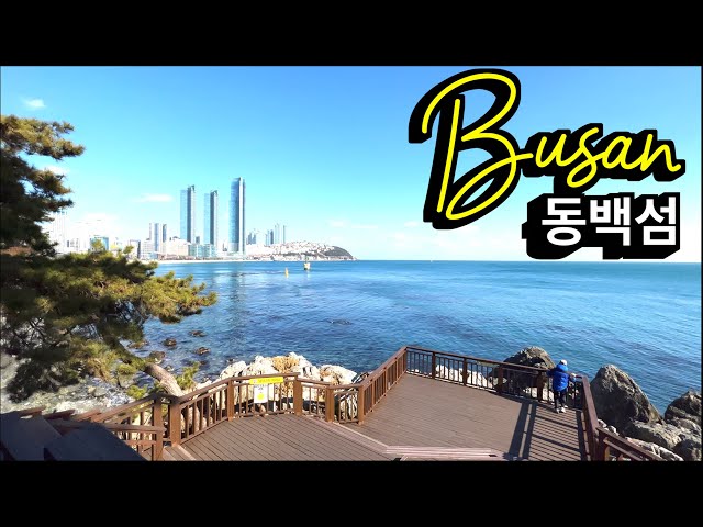 Korea Walk 🇰🇷 Beautiful scenery of 'Dongbaek Island' in Busan, walking along the coastal cliff path.