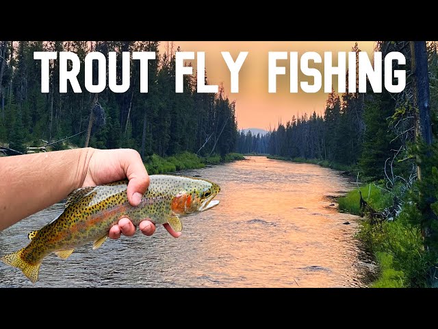 Fly Fishing a Remote Idaho River for Trout