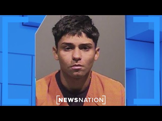 ICE raids: Suspected Tren de Aragua leader arrested in NYC | NewsNation Now