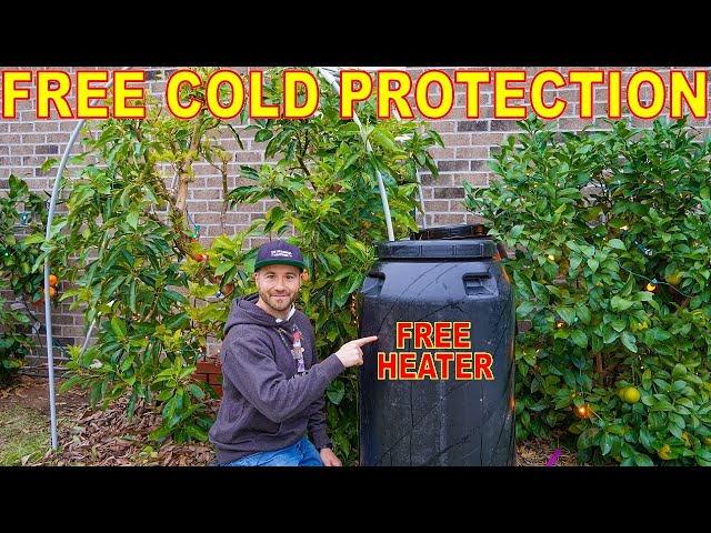 Keep Plants Warm ALL WINTER With FREE Pickle Barrel Heaters