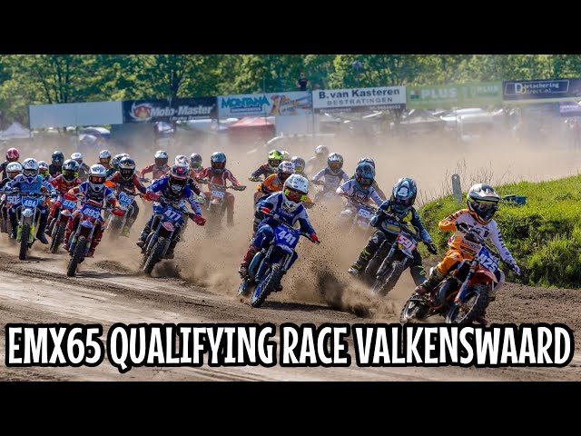 EMX65 QUALIFYING RACE VALKENSWAARD 2024 | part 1 | Liljann141 #118