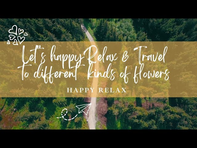 Happy Relax: How to relax and travel to the beautiful land of flowers # Relaxation # Travel