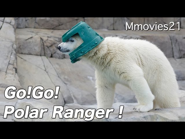 Go! Polar Ranger しろくま仮面は今日も行く！