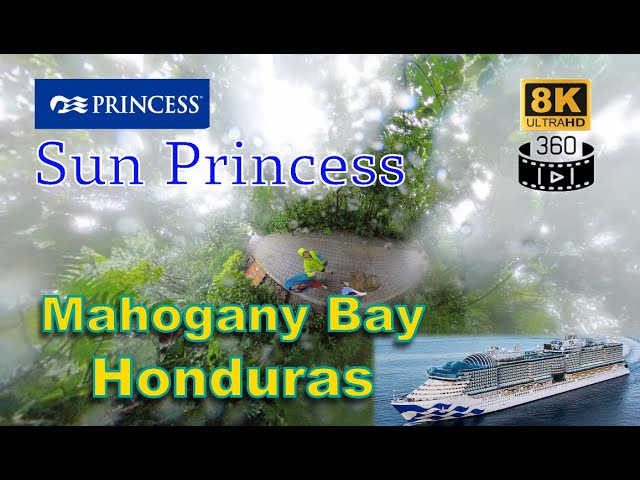 Sun Princess - Honduras [8K] [360] #honduras #sunprincess #8kvideo #360video