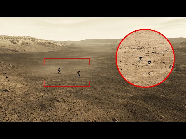 NASA Mars Rover Perseverance Sent Most Incredible Footage Of Mars! Curiosity' Rover Mars in 4K