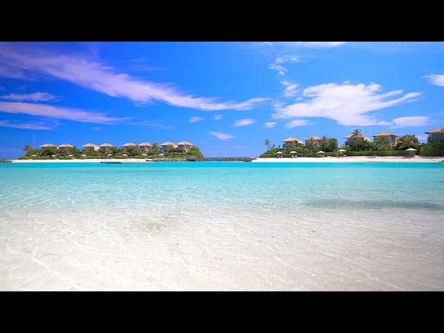 Turquoise Waters: Hidden Island Paradise in Maldives 4K Ultra HD