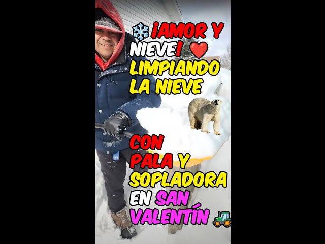 ❄️ ¡Amor y nieve! ❤️ Limpiando la nieve con pala y sopladora en San Valentín 🚜