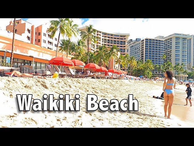 WALK TOUR HAWAII 🌴 Beautiful Morning Walk on Waikiki Beach