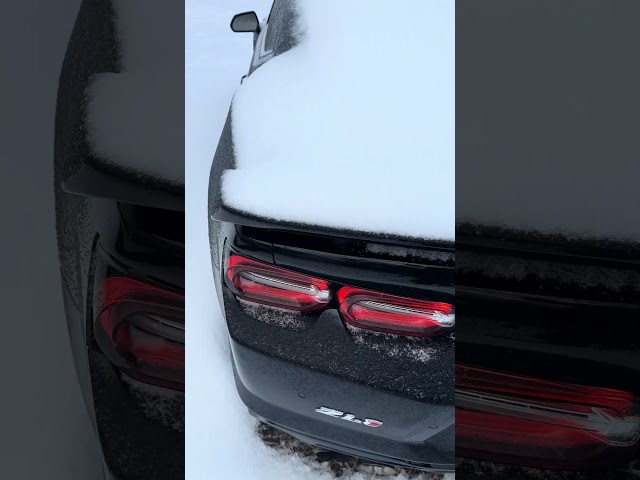 💤 first time seeing snow🥶 #chevy #chevrolet #camarozl1 #supercharged #automobile #car #boosted