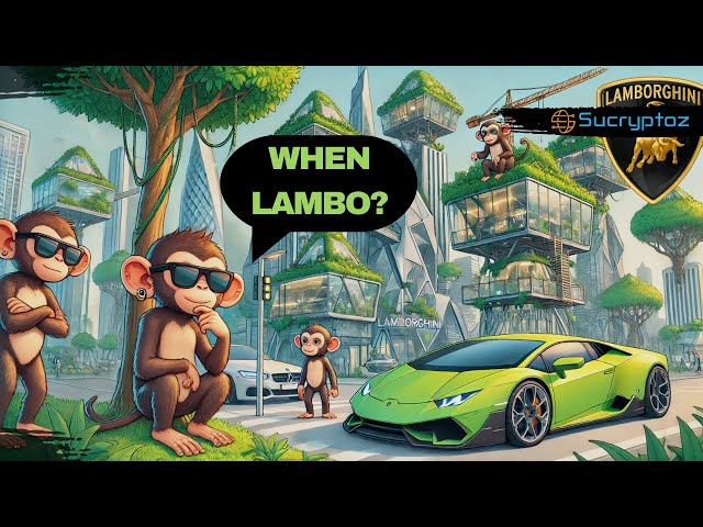 The Lamborghini Syndrome in Crypto Investing (When Lambo?)