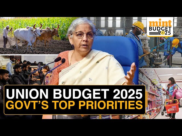 Budget 2025: Govt's Top Priorities Explained In 3 Mins | Jobs, Consumption, Agriculture, MSMEs