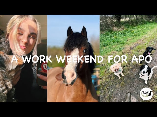 A working Weekend for APO | All Paws Outdoors