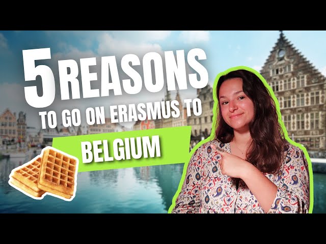 Reasons to go on ERASMUS to BELGIUM 🇧🇪🌍