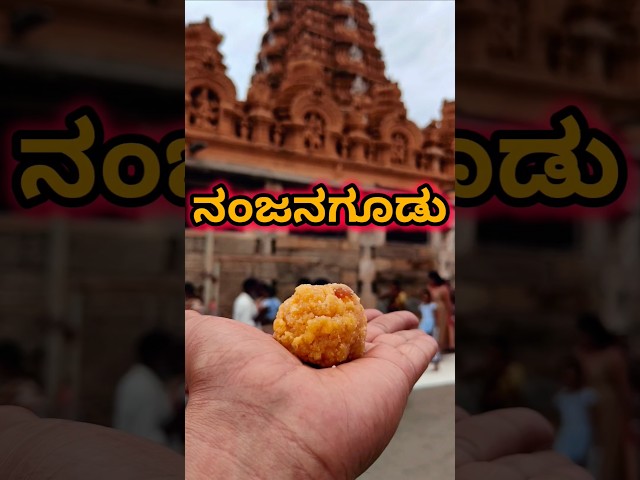 ನಂಜನಗೂಡು | Nanjangudu #viralvideo #shorts #youtubeshorts