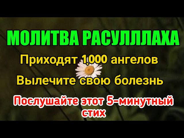 Молитва Пророка! Сегодня все болезни излечиваются, если Бог даст.