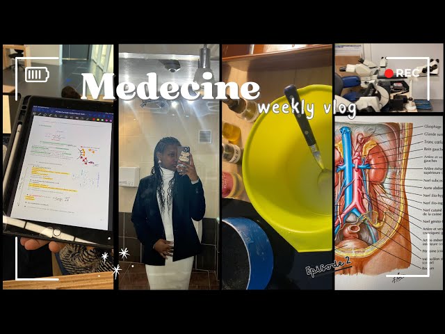 MEDVLOG P2 Ep2 🔬 | présentation UEs, stage en anapath, photo shoot, masque cheveux