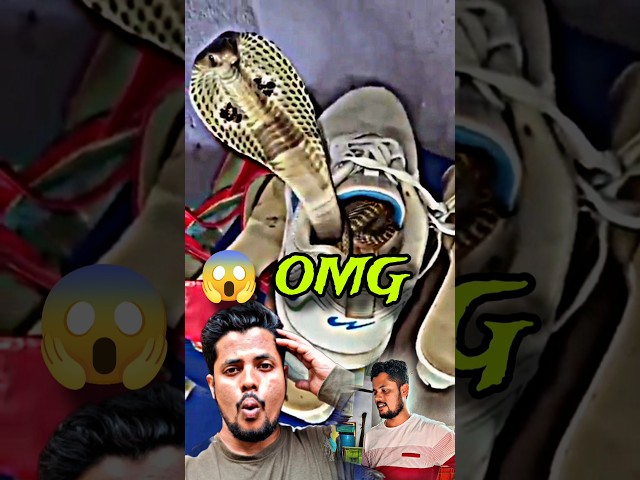 snake dikha 😱🔥 #minivlog #trending #shorts #vlog #minivlogs