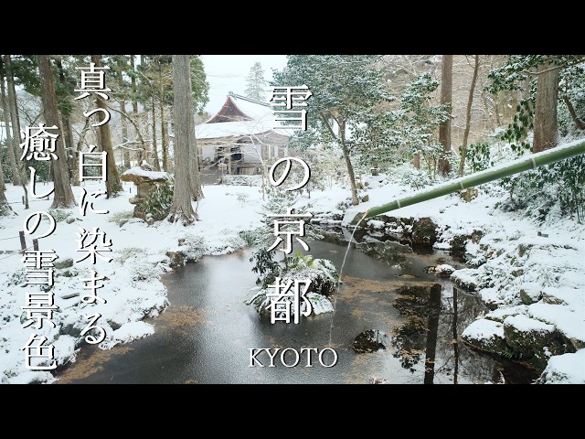 Walking in the Snowfall OHARA KYOTO JAPAN | 4K ASMR | Beautiful Snow in Kyoto