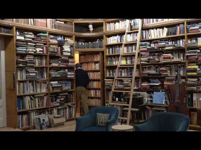 Making a secret door in library shelves, rolling ladder and domed ceiling