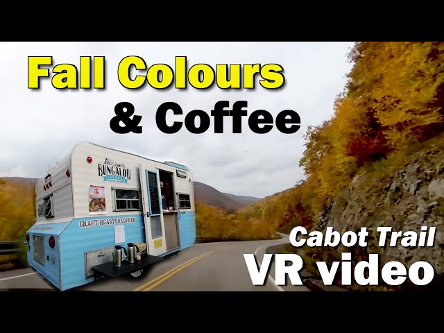 Bungalow Beans Coffee Cabot Trail Fall Colours VR Video