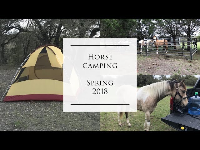 Horse Camping Day One