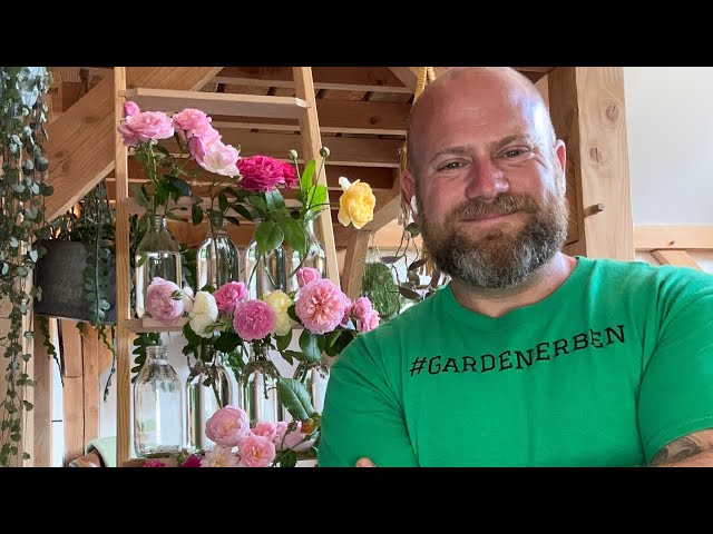 My new top 20 most recommended @david_austin_roses #gardenerben