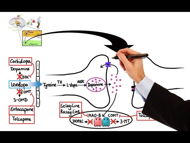 Pharmacology - DRUGS FOR PARKINSON'S DISEASE (MADE EASY)