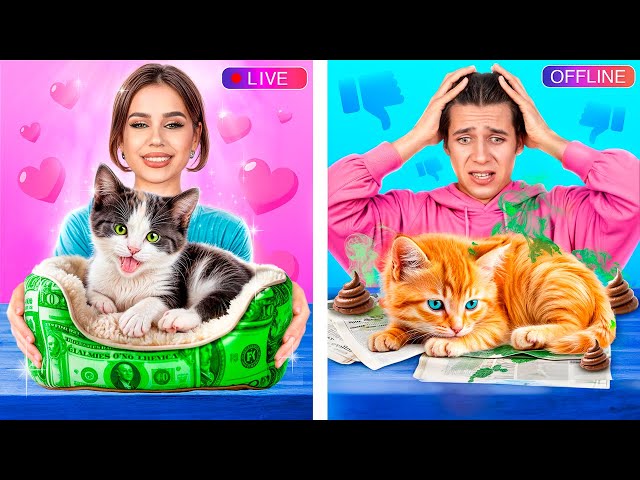 Rijke Kat vs Arme Kat! Geweldige Gadgets en Hacks voor Huisdieren!